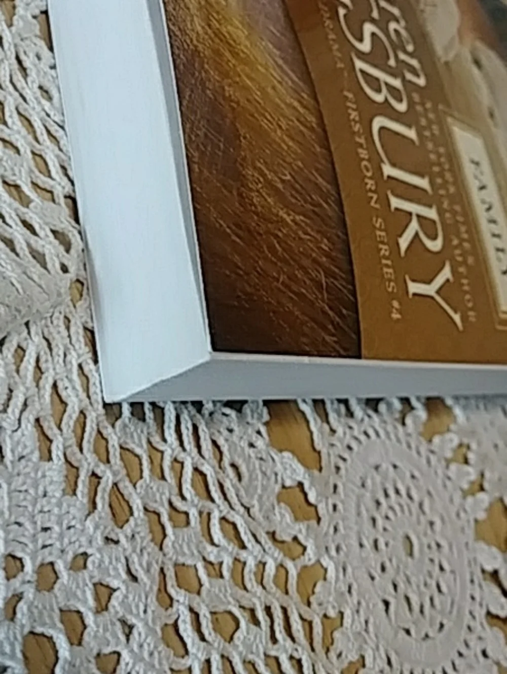 Book Sale! 3 for $10! Christian Fiction - Family, Karen Kingsbury
